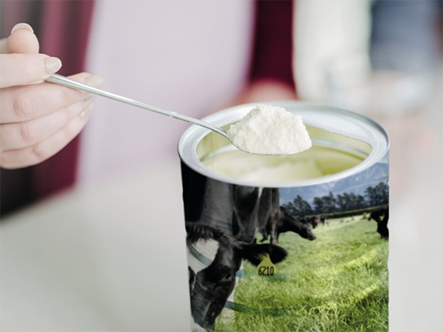 Fat Filled Milk Powder Amevel