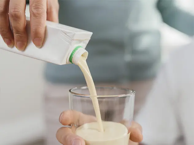 Skim Milk Powder Amevel