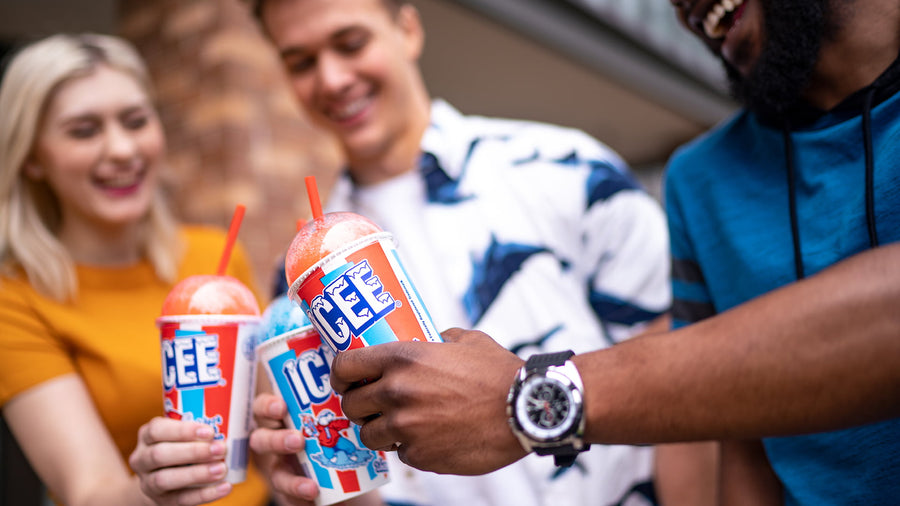 ICEE - Hybrid Packaging System